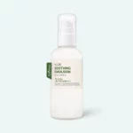 Isntree - Isntree Aloe Soothing Emulsion 120 ml